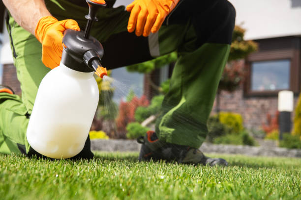 Best Ant Control Services  in Boyne City, MI