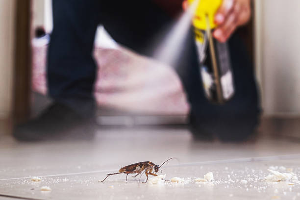 Pest Prevention Services in Boyne City, MI